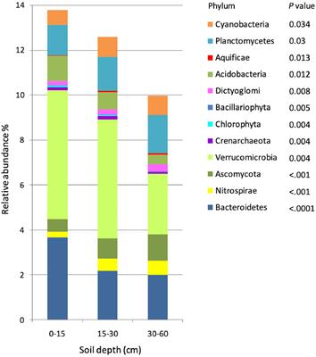 Soil Depth Significantly Shifted Microbial Community Structures and Functions in a Semiarid Prairie Agroecosystem